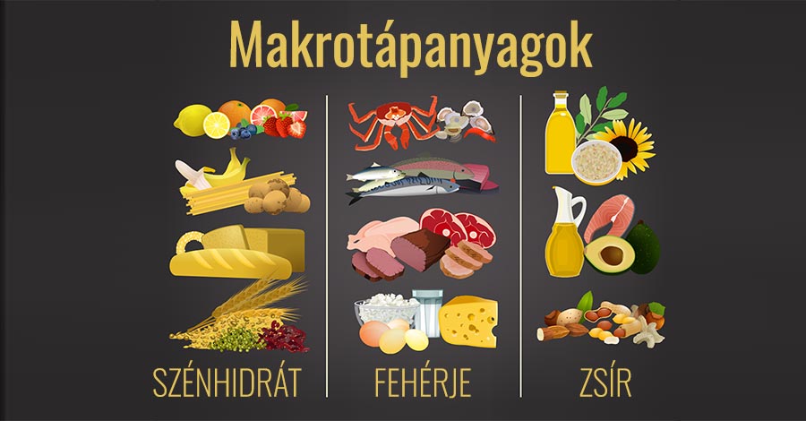 Makrotápanyagok és forrásaik | Clean Eating Magyarország